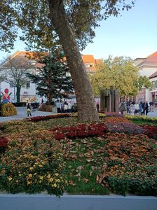 Img.2024.10.27
