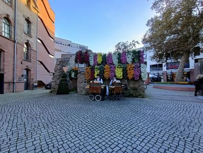 Img.2024.10.27
