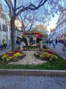 Img.2024.10.27