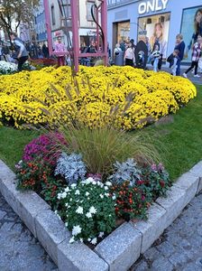 Img.2024.10.27