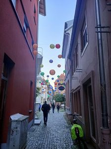 Img.2024.10.27