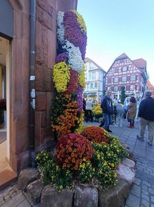 Img.2024.10.27