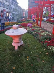 Img.2024.10.27