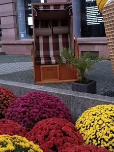 Img.2024.10.27