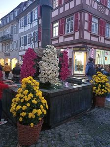 Img.2024.10.27