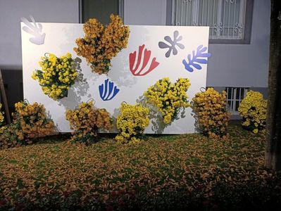 Img.2024.10.27