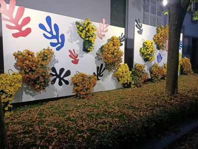 Img.2024.10.27