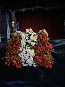 Img.2024.10.27