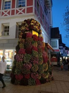 Img.2024.10.27