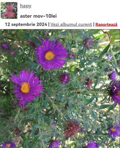Screenshot_20241008_063228_com.android.chrome_edit_134131900885782