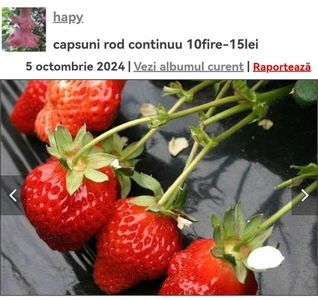 Screenshot_20241008_063436_com.android.chrome_edit_134079261317040