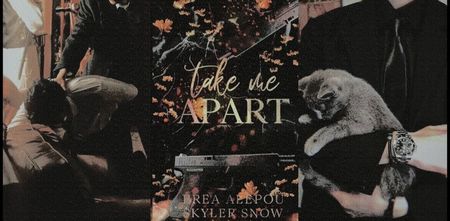 ˓❛Take Me Apart❜˒ [4,5✭] ᵇʸقẠḷẹp̣ọụ́♥Ṣṇọẉ.