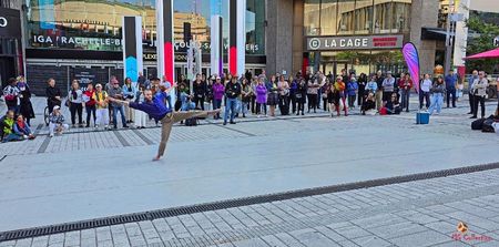 PLace de Arts 2 - Montreal
