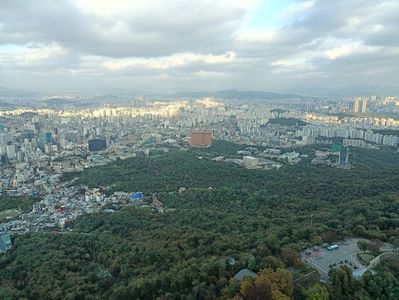 IMG20241023103754