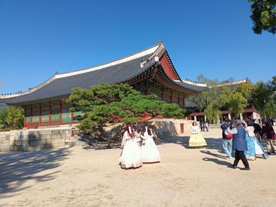 IMG20241025100158
