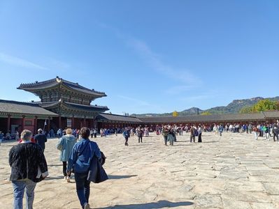 IMG20241025104729