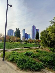 IMG20241025152407