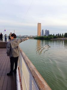 IMG20241025160633