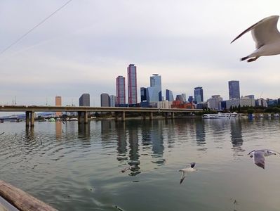 IMG20241025161403