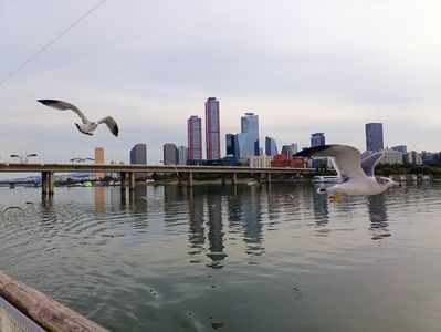 IMG20241025161408