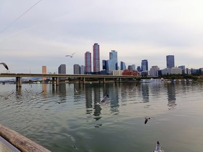 IMG20241025161410
