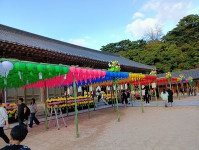 IMG20241026160947
