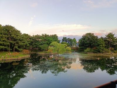 IMG20241026172443