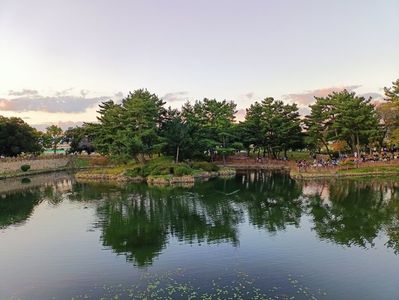 IMG20241026172459