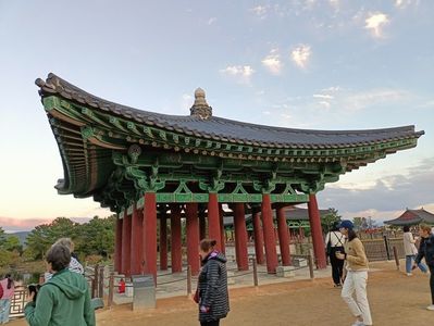 IMG20241026172808