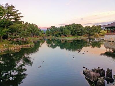 IMG20241026172827