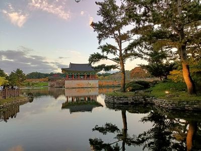 IMG20241026173129