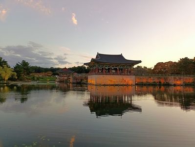 IMG20241026173243
