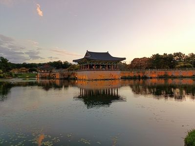 IMG20241026173307