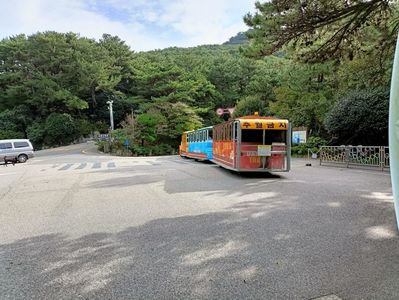 IMG20241027094232
