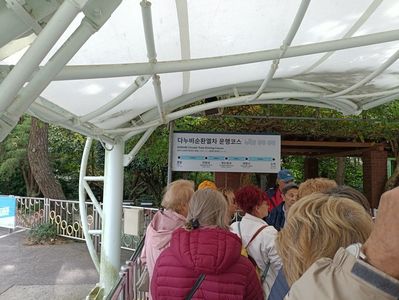 IMG20241027094243