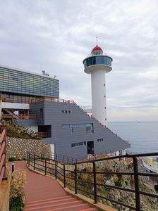 IMG20241027102609