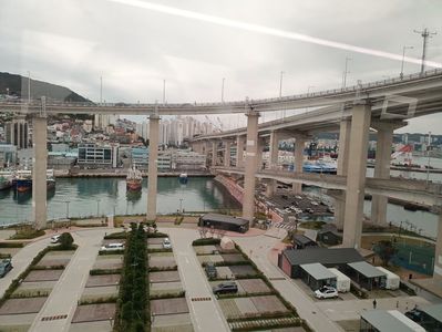 IMG20241027113804