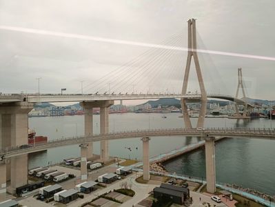 IMG20241027113818