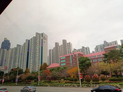 IMG20241027114426