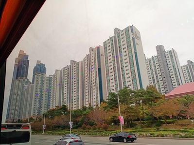 IMG20241027114430