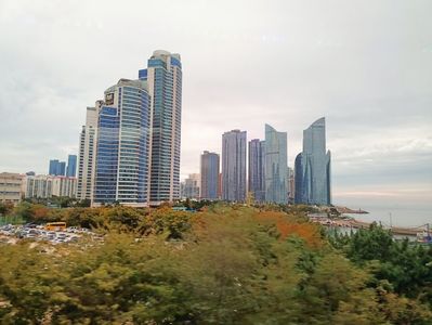 IMG20241027115042