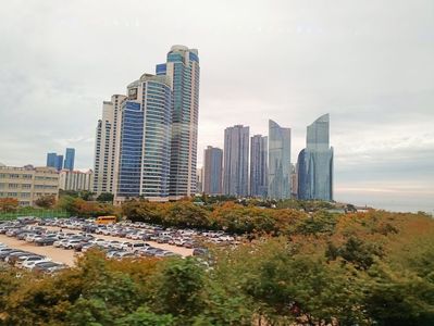 IMG20241027115044