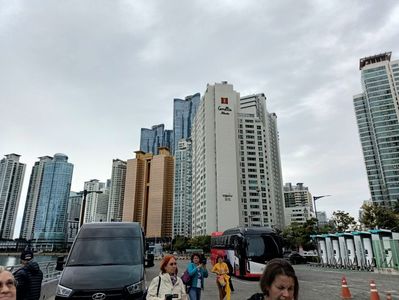 IMG20241027115947