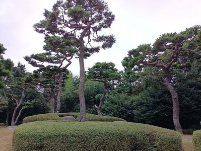 IMG20241027120352