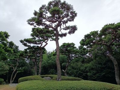 IMG20241027120354