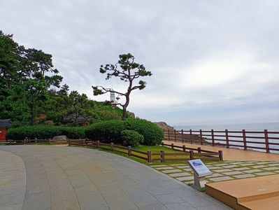 IMG20241027122218