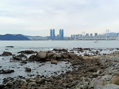 IMG20241027122237