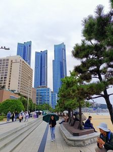 IMG20241027140500