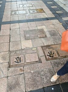 IMG20241028090928