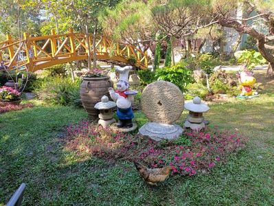 IMG20241029133228